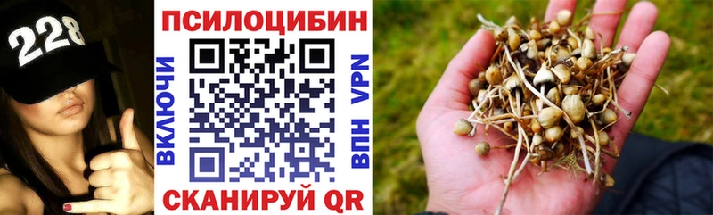 Галлюциногенные грибы Cubensis  дарнет шоп  Прохладный 